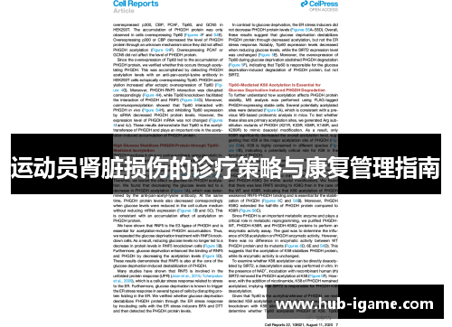 运动员肾脏损伤的诊疗策略与康复管理指南 运动员肾脏损伤的诊疗策略与康复管理指南
